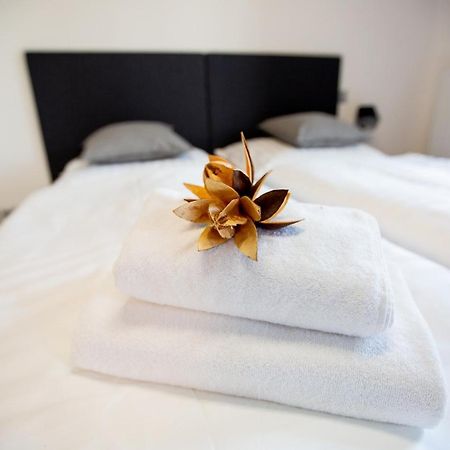 Exclusive Penzion Viva Residence Mladá Boleslav Zewnętrze zdjęcie