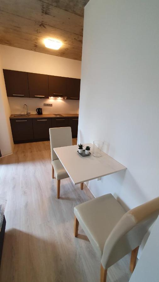 Exclusive Penzion Viva Residence Mladá Boleslav Zewnętrze zdjęcie